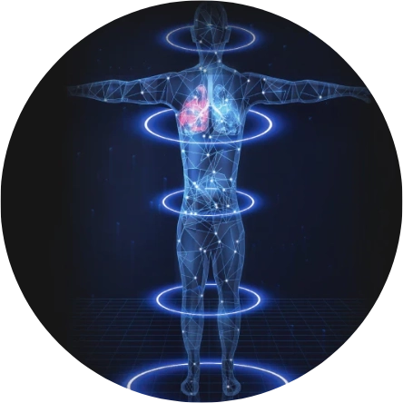 Body Scanning Technology
