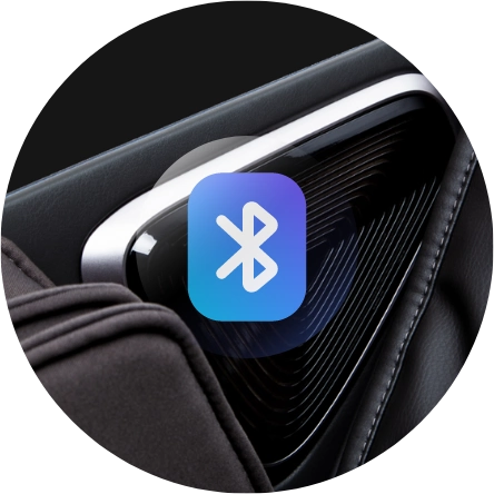 Bluetooth Speakers