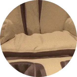 Spinal Correction & Waist Twist