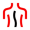Consistent Spine Massage