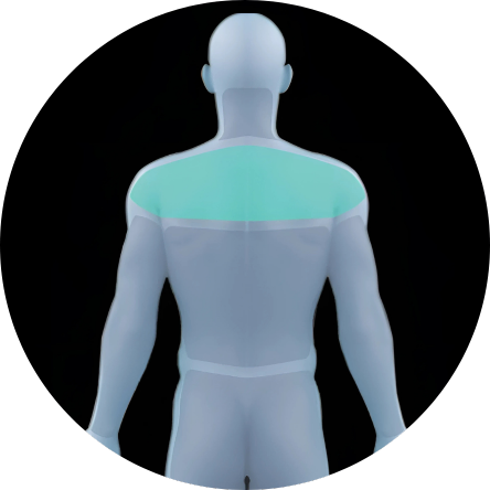 Manual Massage Techniques & Fine-Tuning