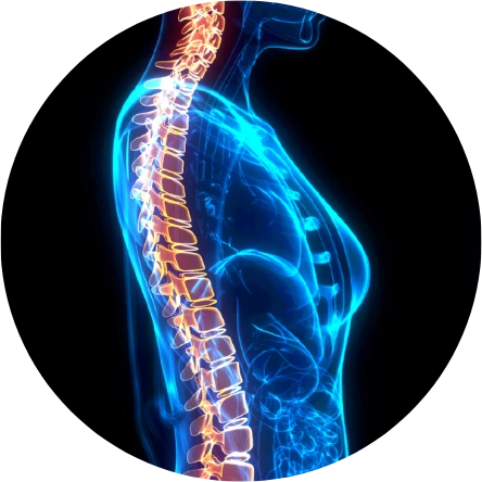Body Scanning